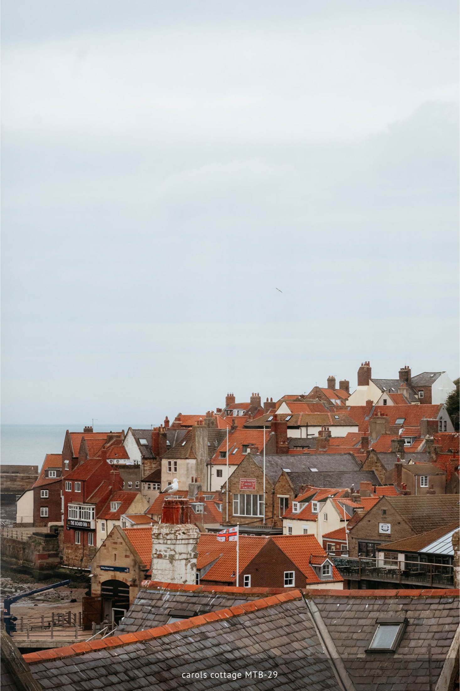 Whitby rooftops and harbour view